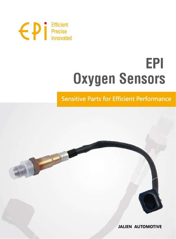 Oxygen Sensor